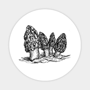 Morel Mushroom Magnet